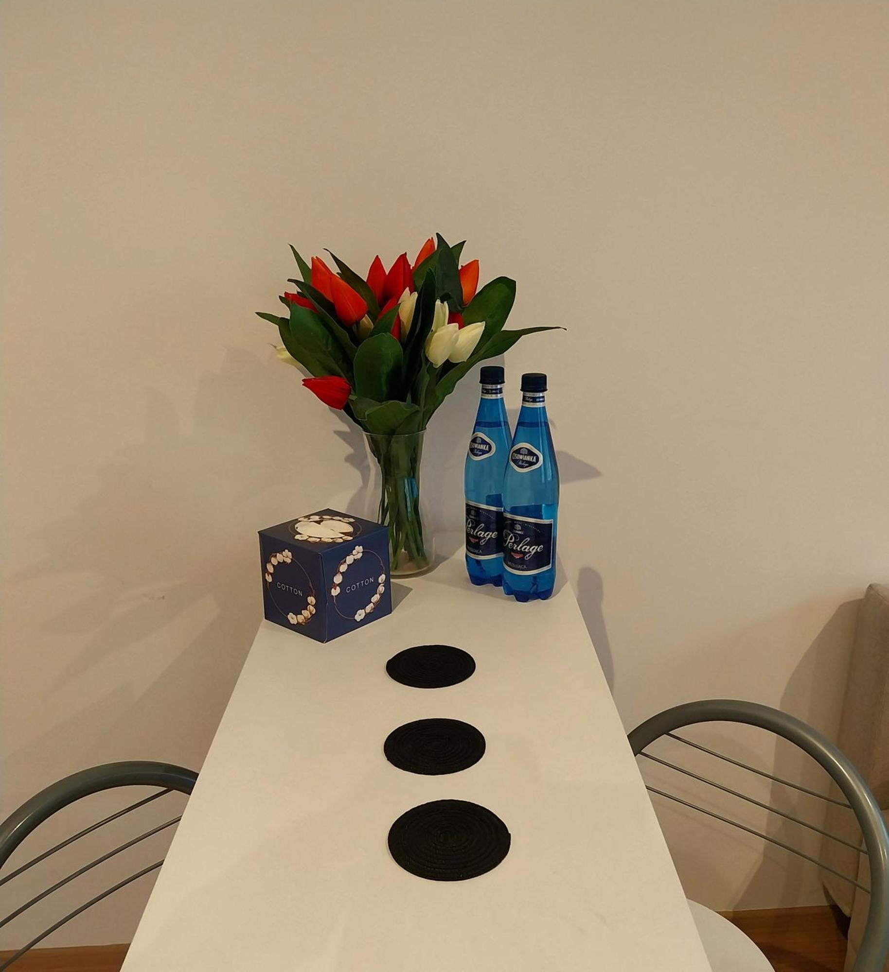 Apartament Srodmiescie Przemyśl Esterno foto